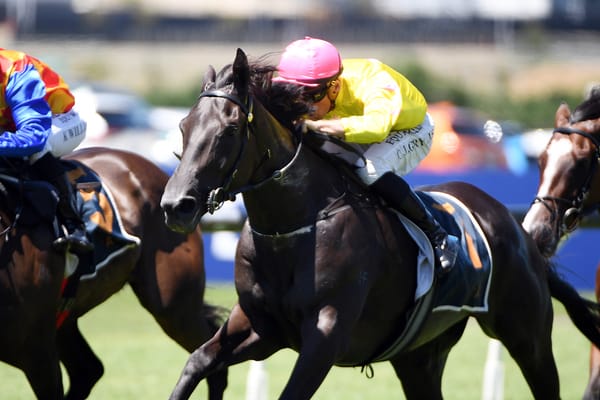 Forsman seeking to replicate Karaka Millions success