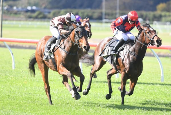 Sharrock duo to commence Derby bids