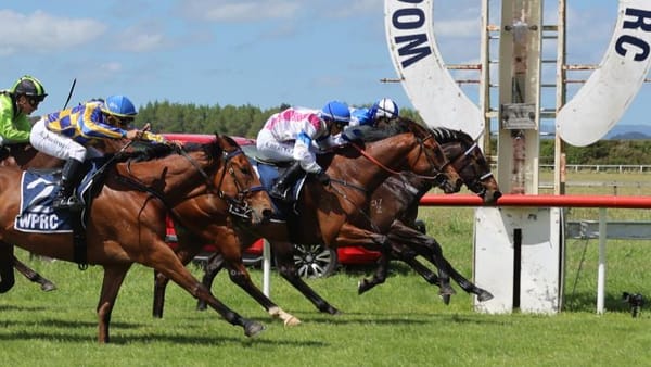 Nickalls chasing Oaks dream with promising filly