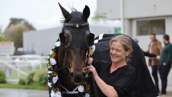 Hi Yo Sass Bomb looking to nail fresh-up run