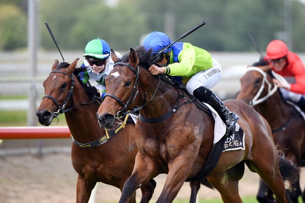 Local 2YO ready to open stakes campaign