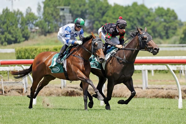 Stablemates primed for Karaka Millions 3YO