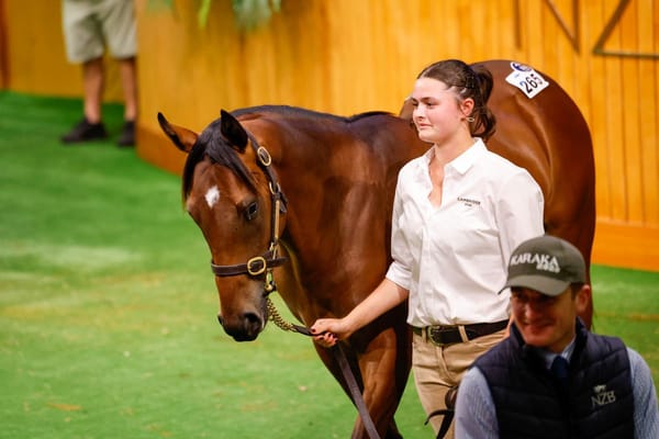 Booming Trade Kicks off Momentous Karaka 2026