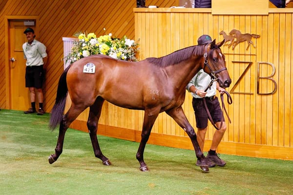 Mulcaster lands another big blow at Karaka