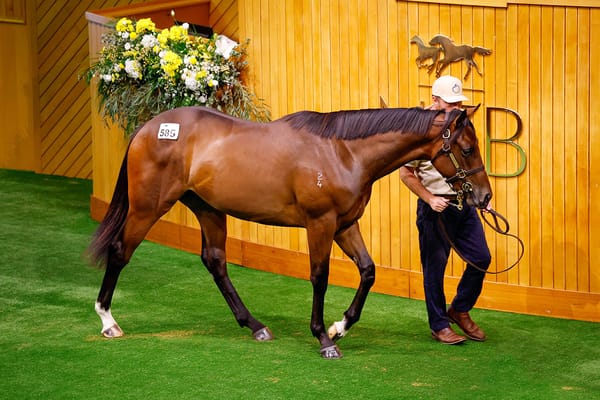 Thompson adds Karaka colts to growing stable