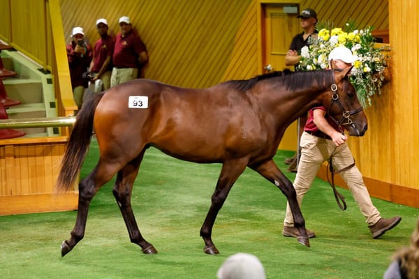 Millie wins one and loses one in hectic 10 minutes