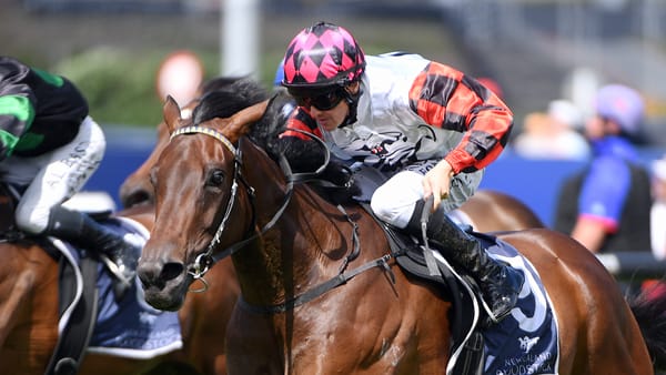 Yulong invests in another exciting Kiwi filly