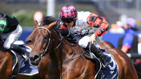 Ohope Wins bolts home in Sir Patrick Hogan Stakes