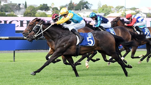 High hopes for Queen Zou on decent track