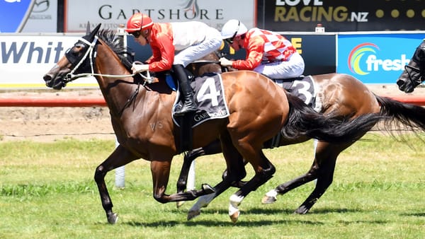 Super Photon bounces back at Tauranga