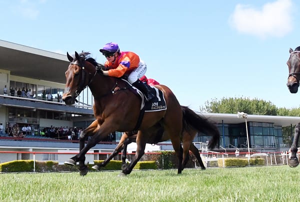 McKays realistic as they return to happy hunting ground