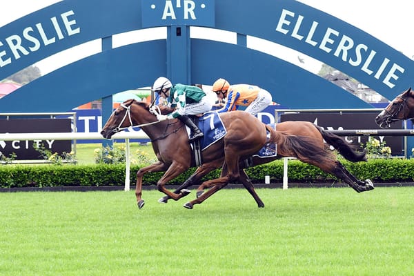 Well Written gets ideal gate as favourites fare well in Karaka Millions barrier draws