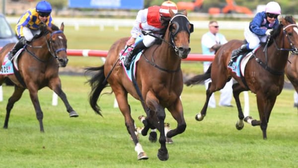 Rejuvenated Whangaehu in Auckland Cup contention