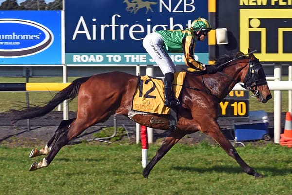 Audio: Neil O’Dowd