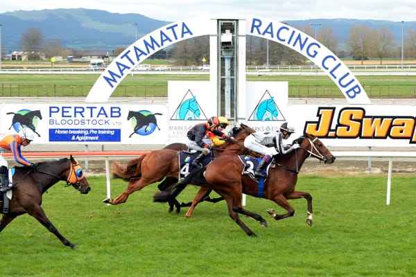 Guineas tilt for impressive maiden winner