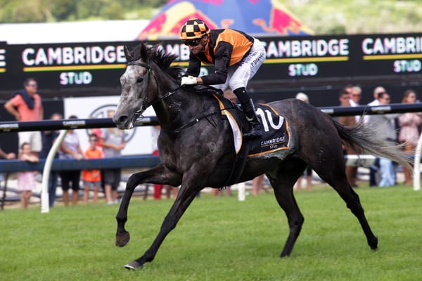 Danzdanzdance to transfer to Waller stable