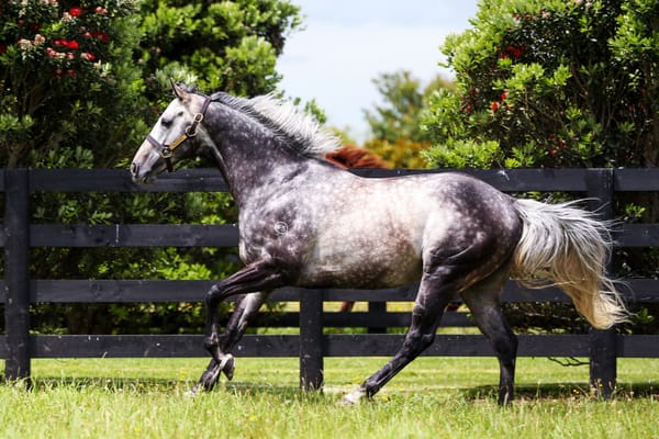 Second Oaks winner for Reliable Man