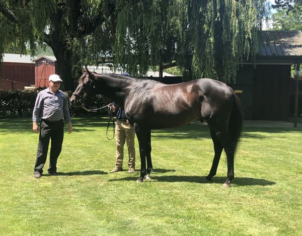 Cook comes full-circle with Preferment