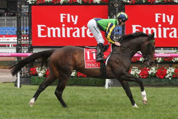 Karaka First Crop Sire - Tivaci