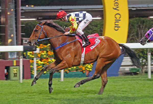 Ting’s Amazing Star seeks redemption