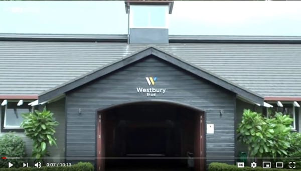 Video: Karaka Yearling Sale Preview – Part 4