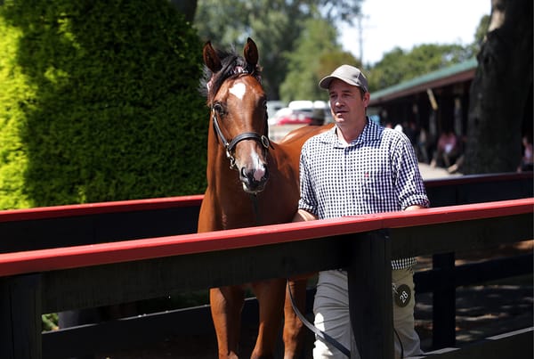 Maher secures sales pick