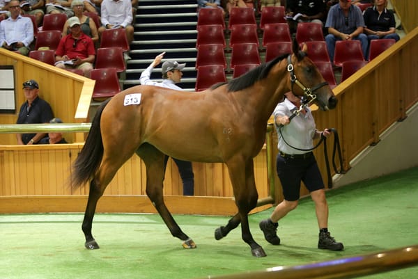 Generosity flows at Karaka