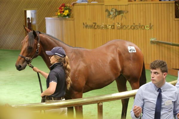 Windsor Park provide Day Two sale topper