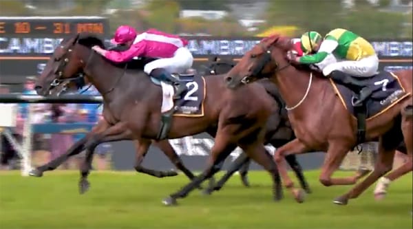 Video: Gr.1 Herbie Dyke Stakes Preview