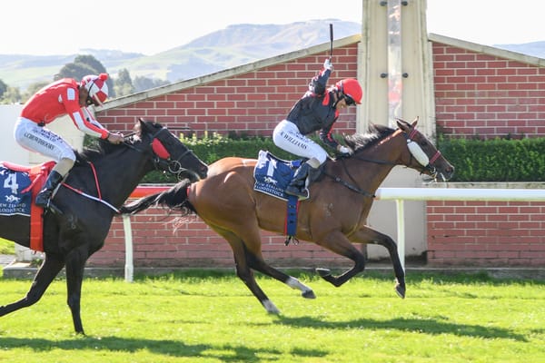 Grangewilliam adds Miss Federer to broodmare band