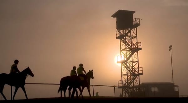 VIDEO: Auckland Cup