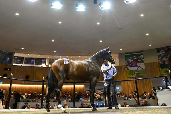 Easter Yearling auction to be held online