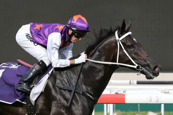 War Affair retired