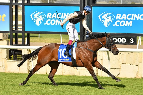 South Island a Source of Supreme Stamina