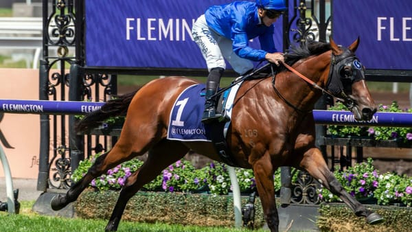 Coveted stallion service on offer to support spinal cord research