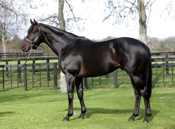 First winner for Vadamos