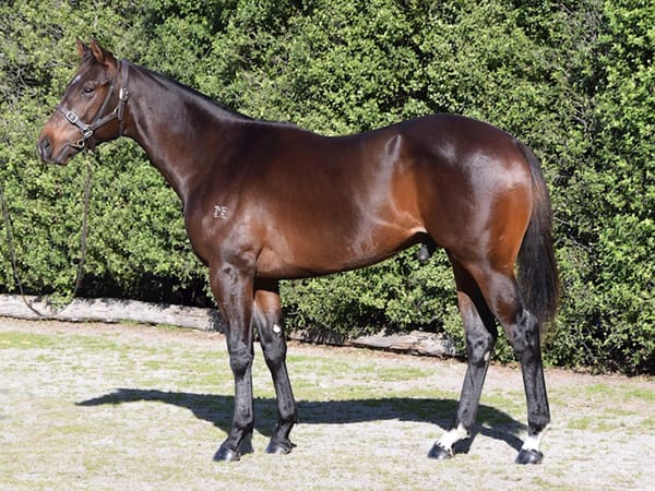 First online sale for Mansfield Farm