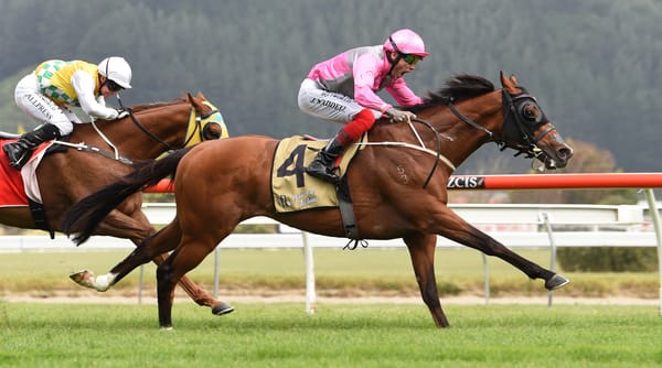 Wyndspelle to Grangewilliam Stud