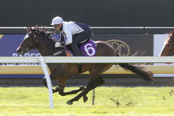 Strong start for Belardo