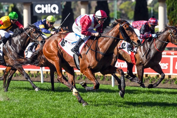 Victorian raiders set for display of Showmanship at Randwick