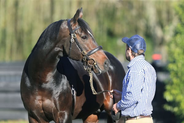 Lease filly shines in Wanganui Guineas