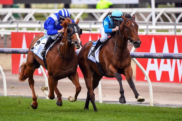 Pearler Saturday for Nakhle