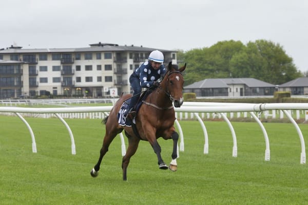 Smart Performances Conclude 2020 Breeze Ups