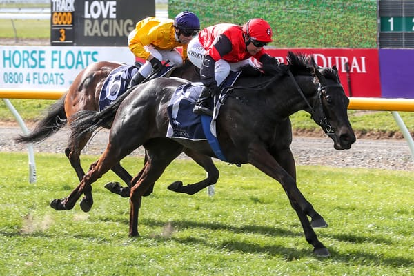 Matchmaker chasing Guineas dream