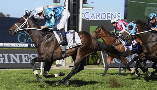 Mo'unga racing for more than Guineas glory