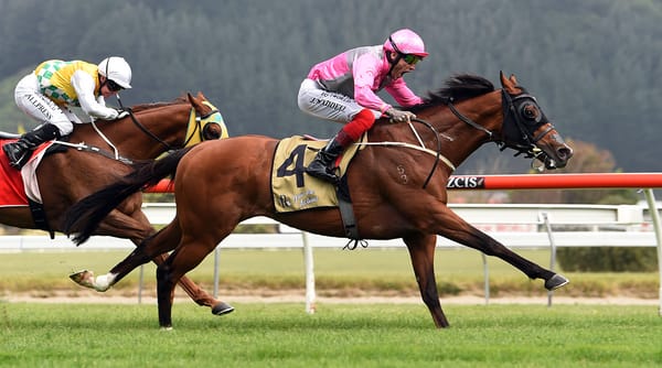 VIDEO: Stallion Parade