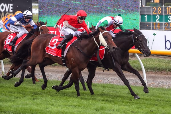 Aegon: a quintessential Waikato Stud product