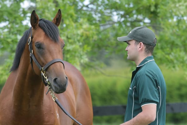 1000 Guineas winner adds to Cunningham’s upbeat outlook