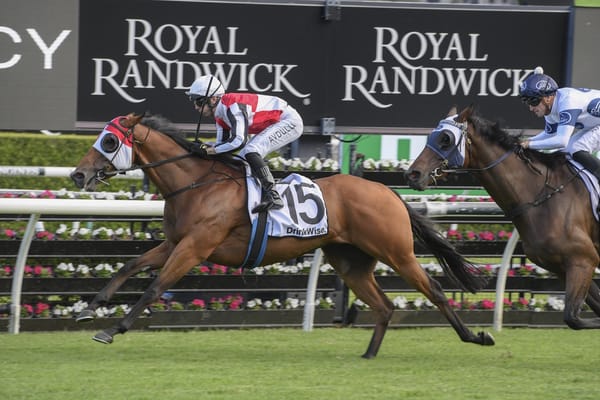 O’Shea galloper draws the right Lane