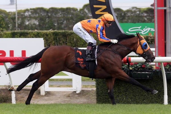 Features focus for Te Akau team